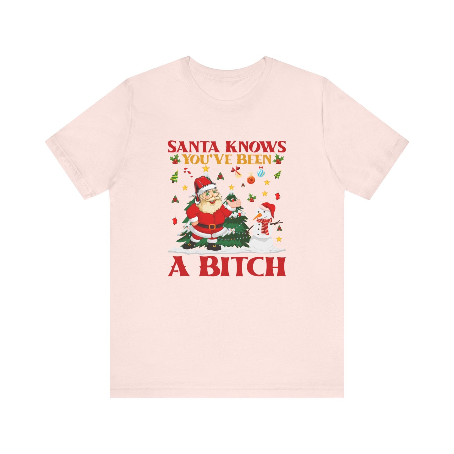Santa Knows T-Shirt - Funny Christmas Humor Tee - Goateez Style